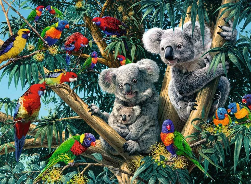 500pc Puzzle - Koalas in a Tree