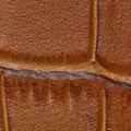 Brixham Special Buckle Gator Watch Strap - Tan