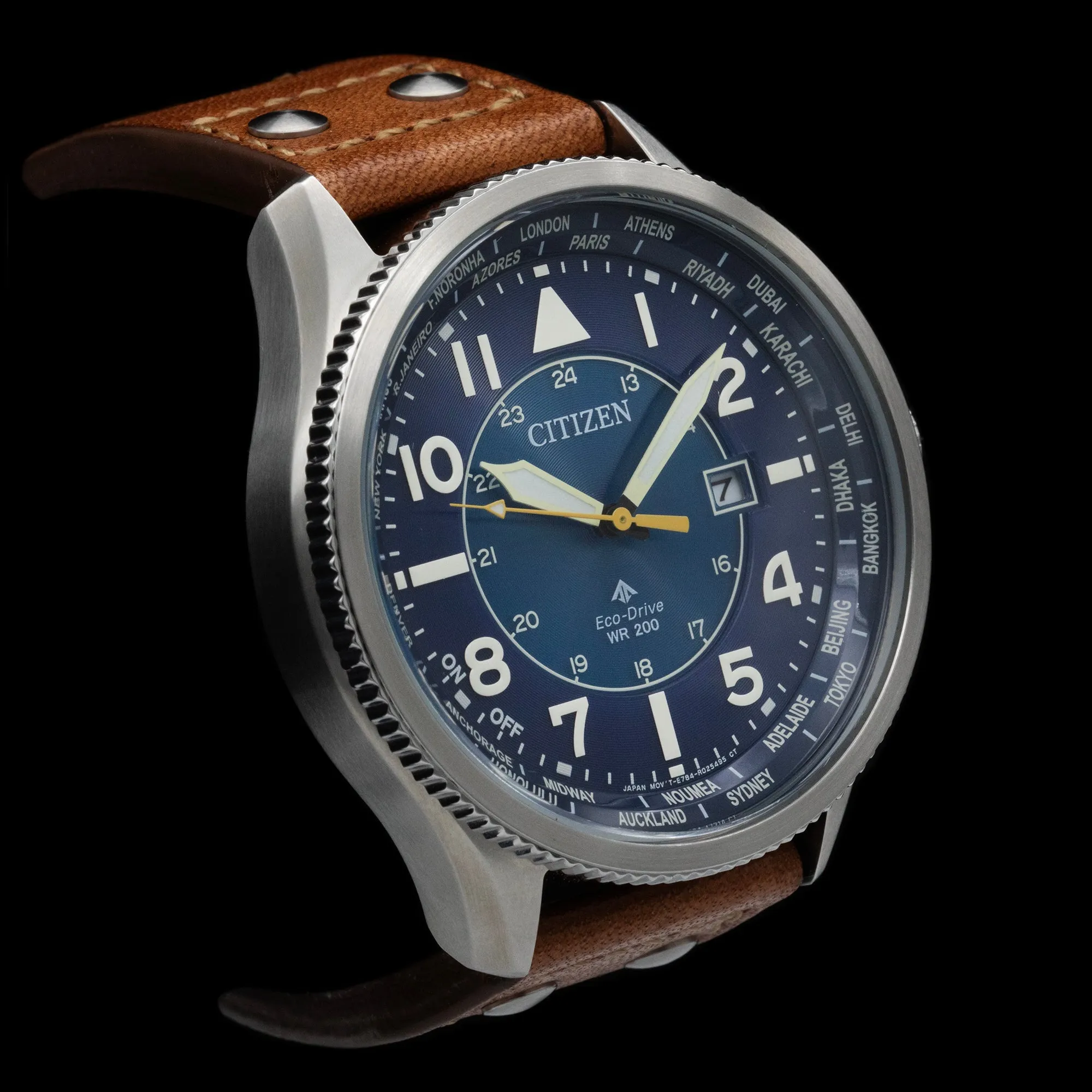 Citizen - Promaster Sky World Time