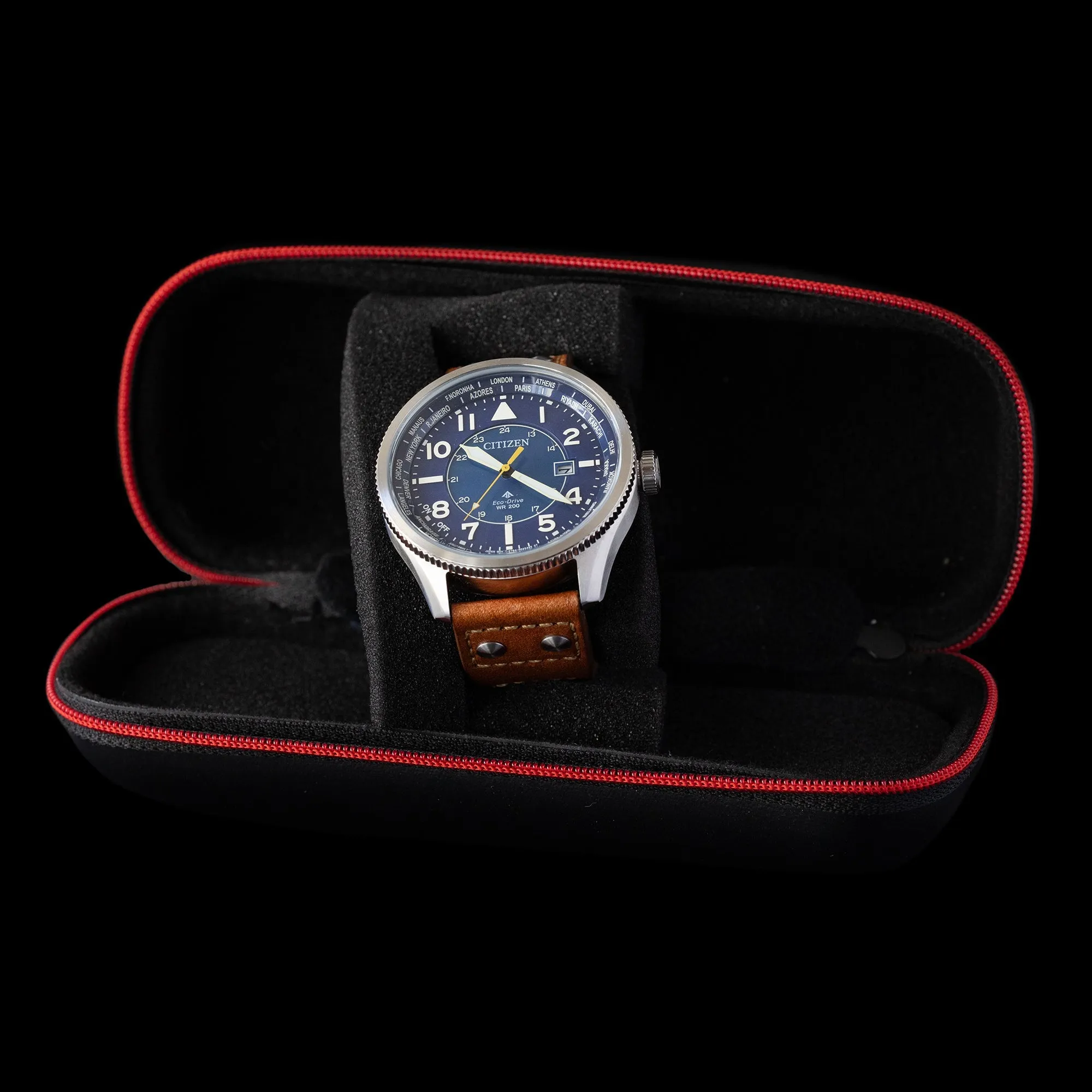 Citizen - Promaster Sky World Time