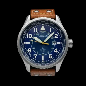 Citizen - Promaster Sky World Time
