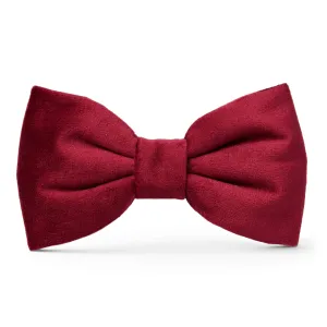 Dog and Cat Bowtie: Burgundy Velvet