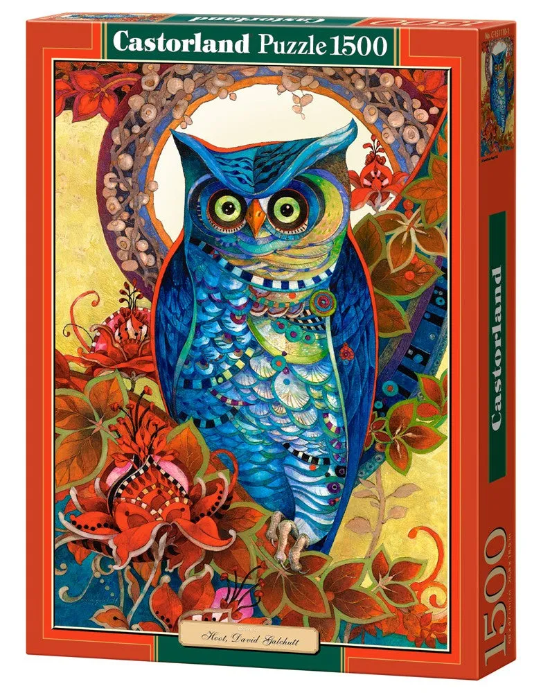 Hoot, David Galchutt