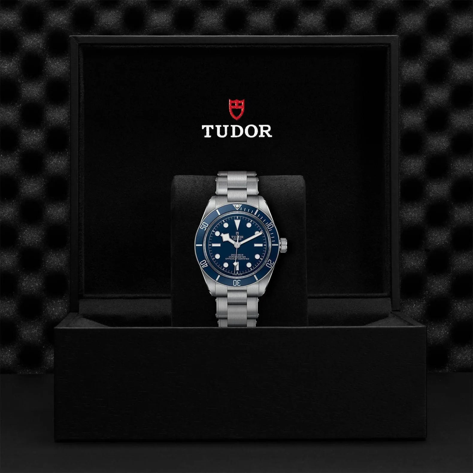 TUDOR 39mm Black Bay 58 Blue Dial on Stainless Steel - M79030B-0001
